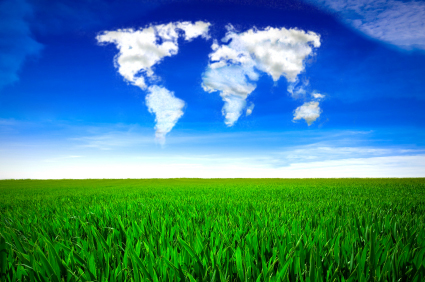 The study predicts continued global growth in biofuels